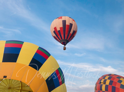 Grape Escape Balloon Adventures-特曼库拉必去景点