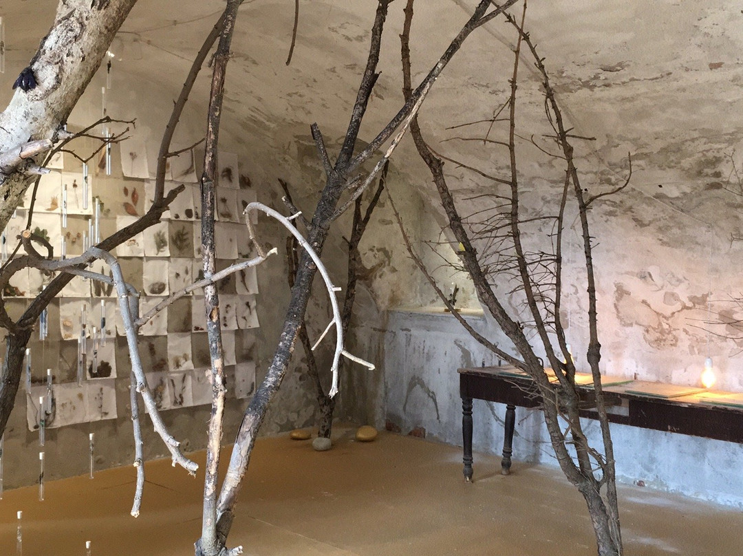 Il Bosco Delicato-Monticello d'Alba必去景点