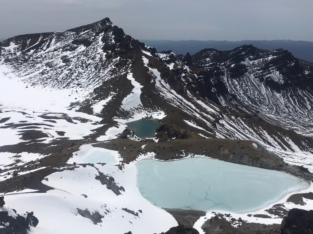 Tongariro Track Transport景点图片