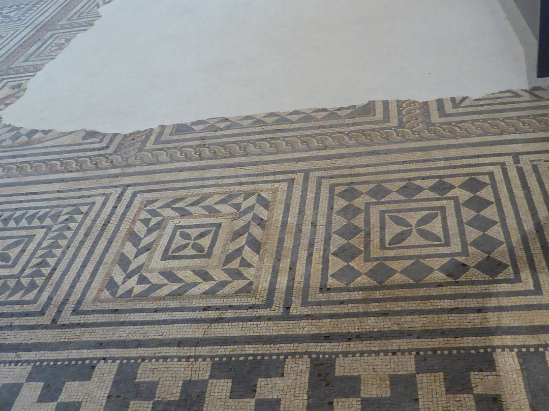 Musée des Beaux-Arts et d'Archeologie de Besancon景点图片
