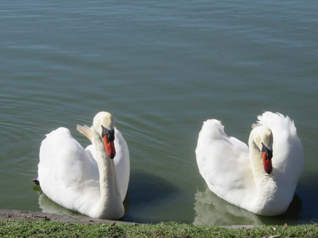 Ormonde Wines-Darling必去景点