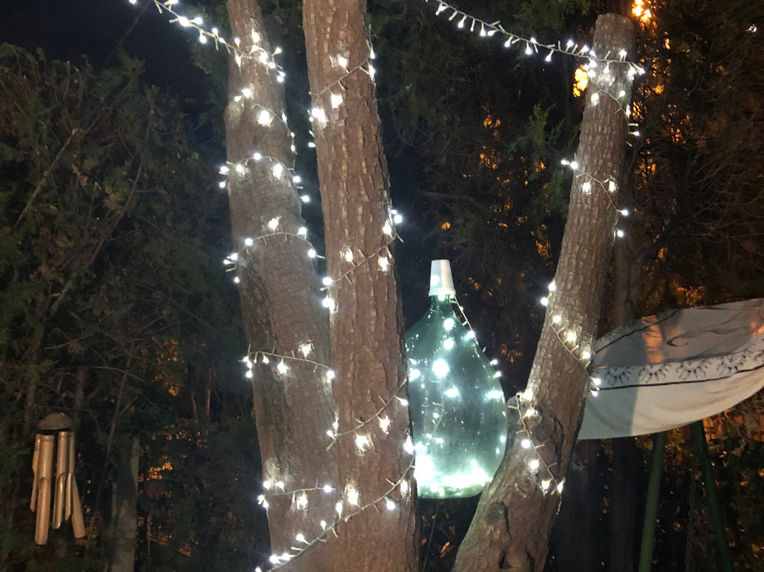 Bed & Breakfast Marini主图