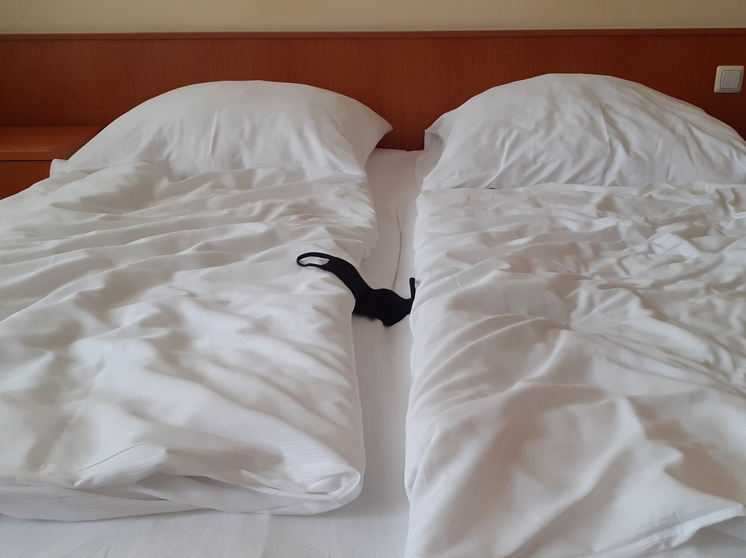 Wellness Hotel Babylon主图