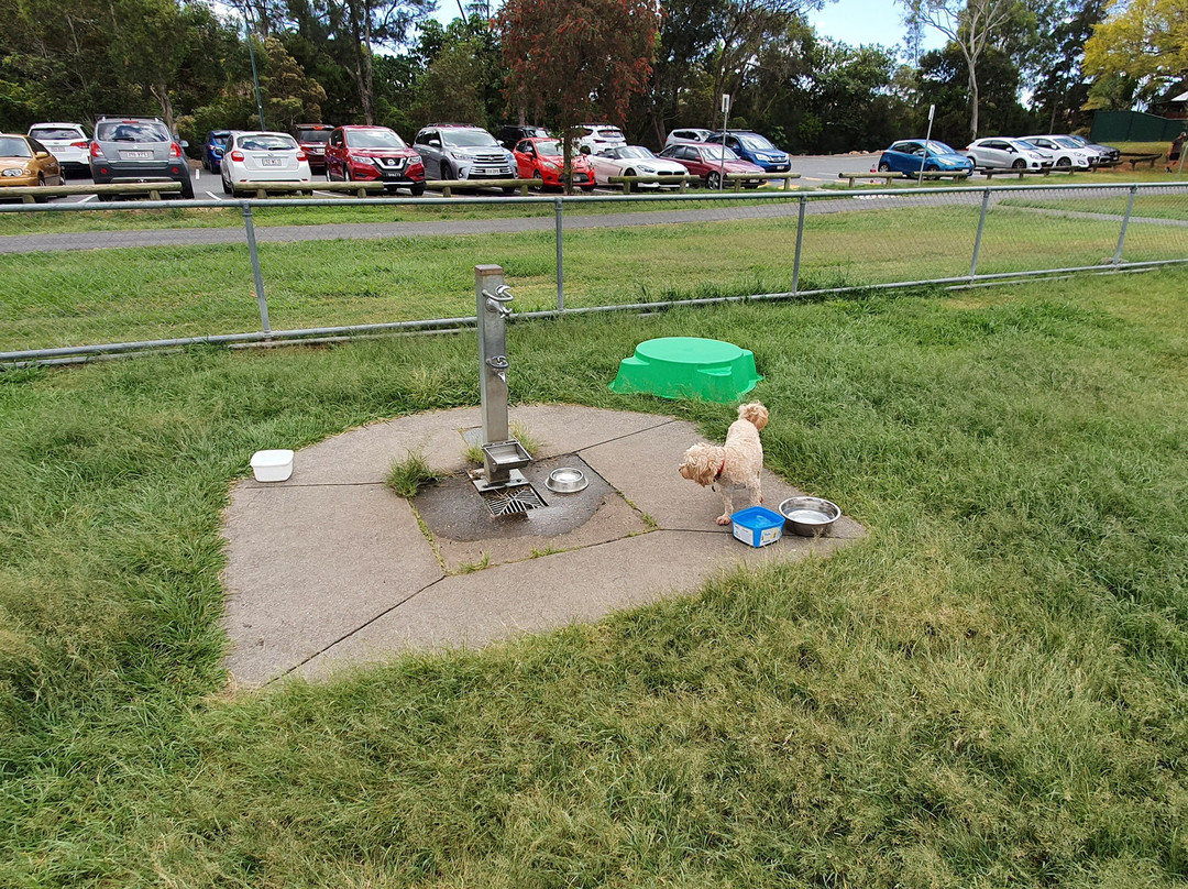 Frascott Small Dog Fenced Agility Dog Park-Varsity Lakes必去景点