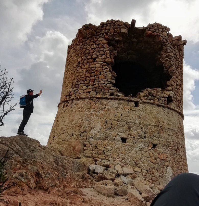 Torra di Roccapina景点图片