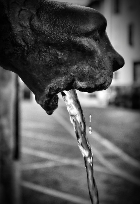 Chiesa Santa Elisabetta-Pergine Valsugana必去景点