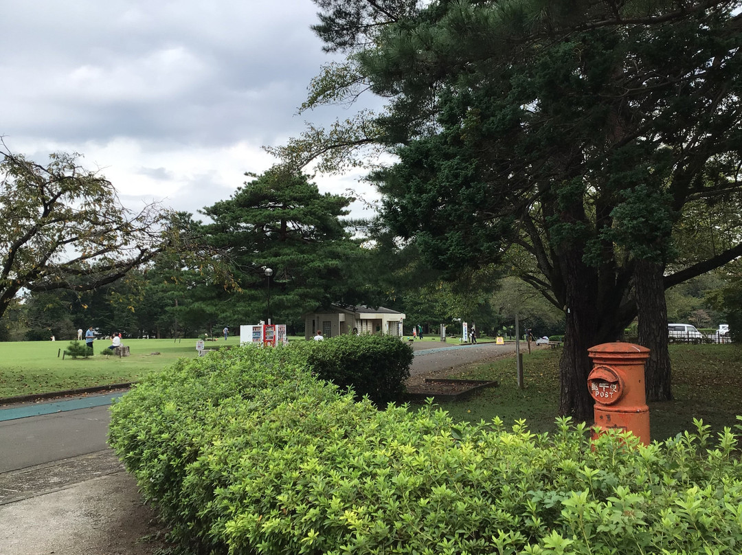 Sayama Inariyama Park-狭山市必去景点