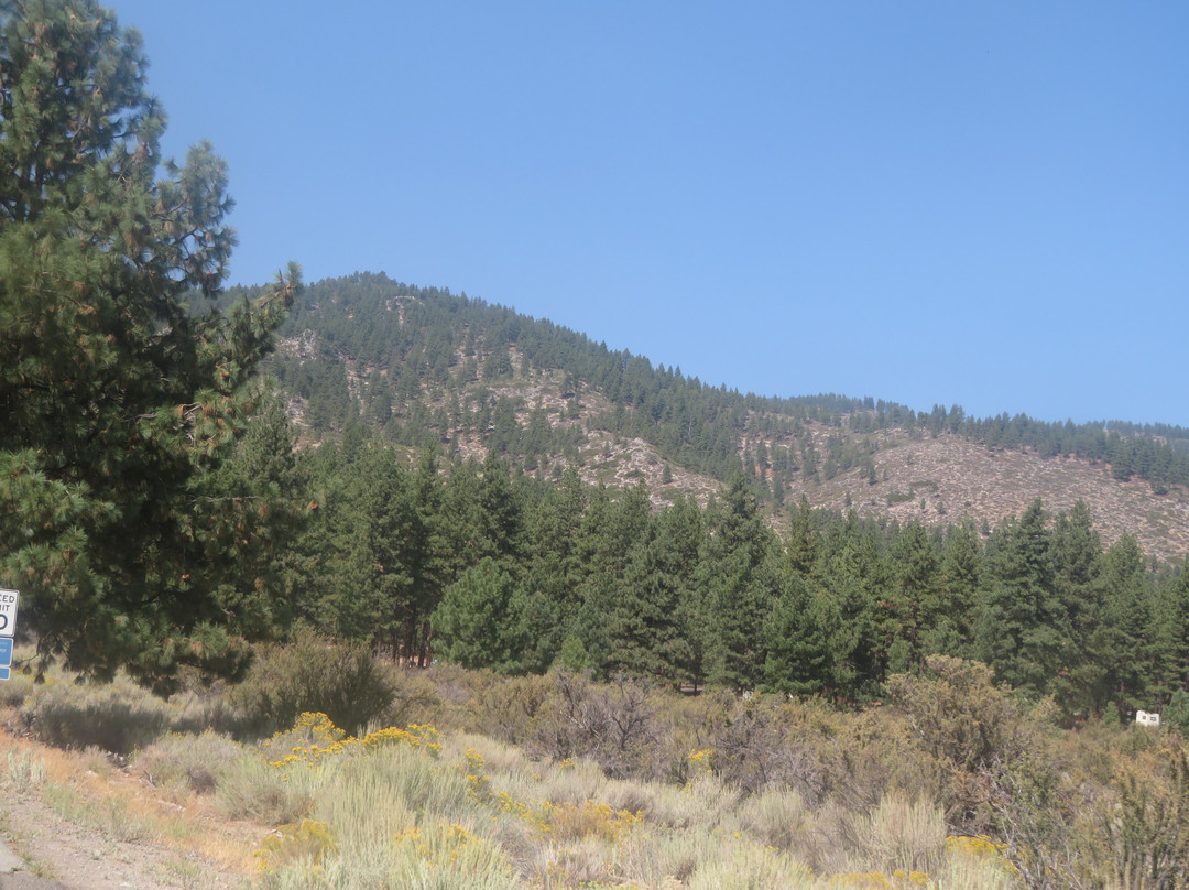 Davis Creek Regional Park-New Washoe City必去景点