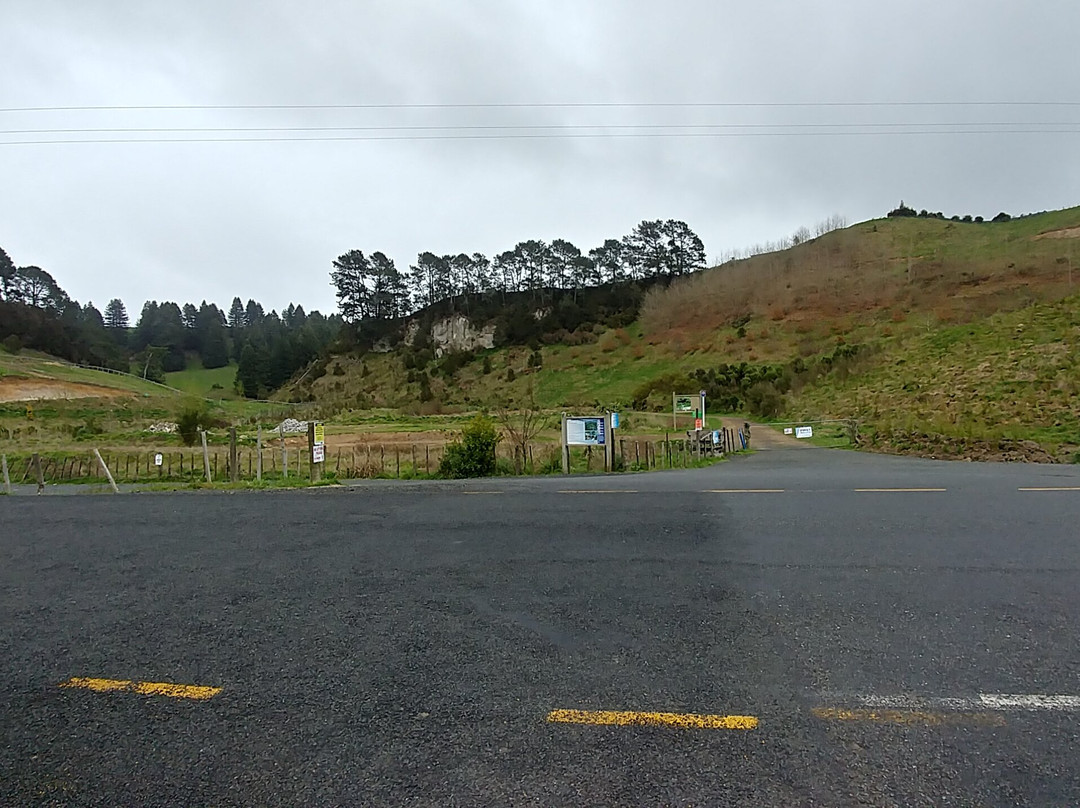 Te Waihou Walkway-普塔鲁鲁必去景点