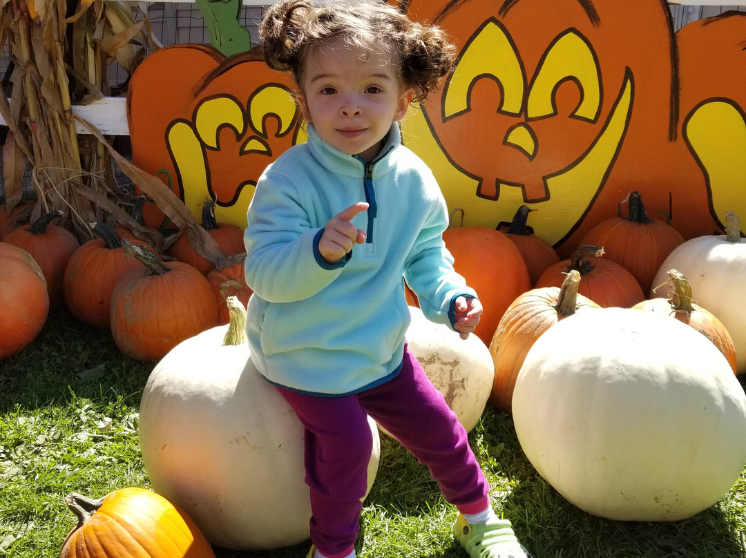 Sonny Acres Farm-West Chicago必去景点