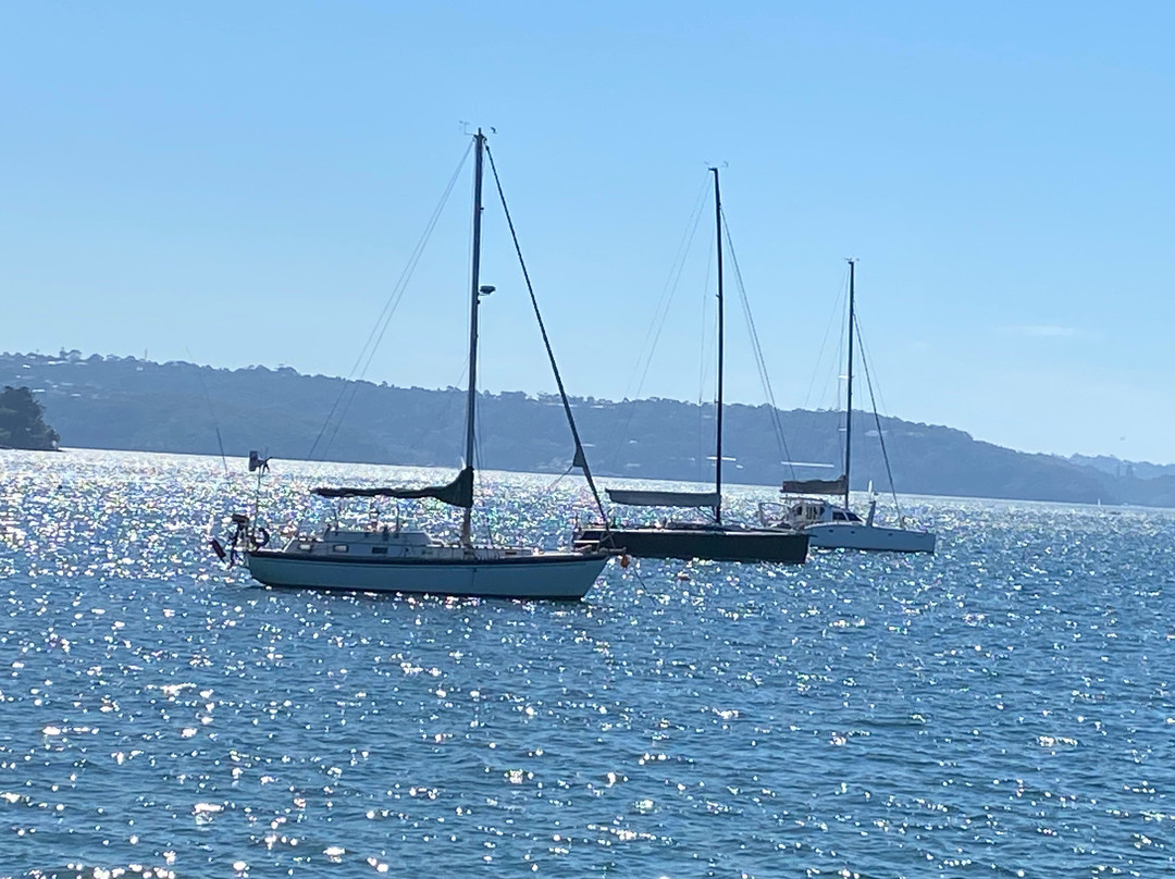 Rose Bay Beach景点图片