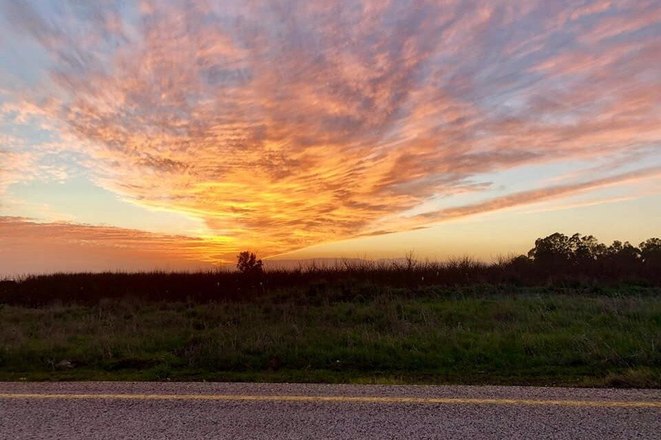 Gazelle - 4x4 Geopolitical Tours - Erez Zukerman-Merom Golan必去景点