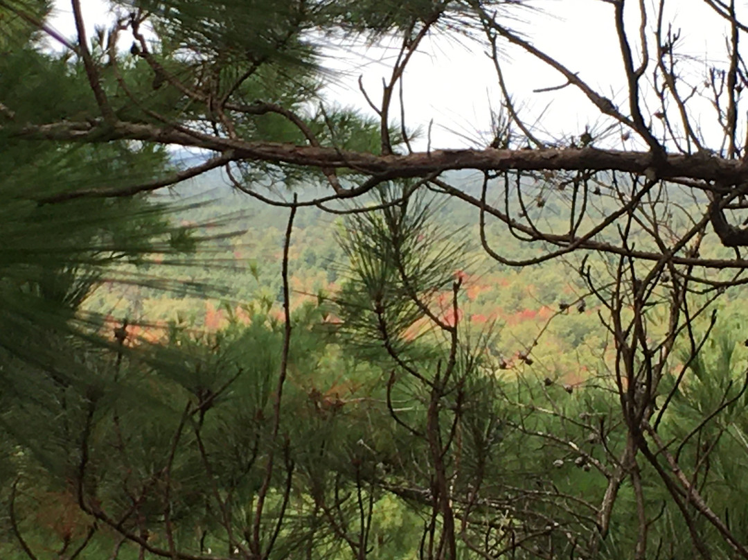 Levis Mound Trail景点图片
