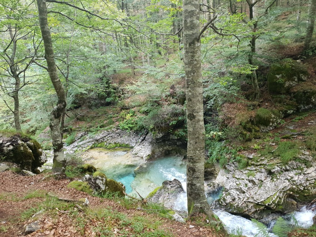 Cascate dell'Arzino景点图片