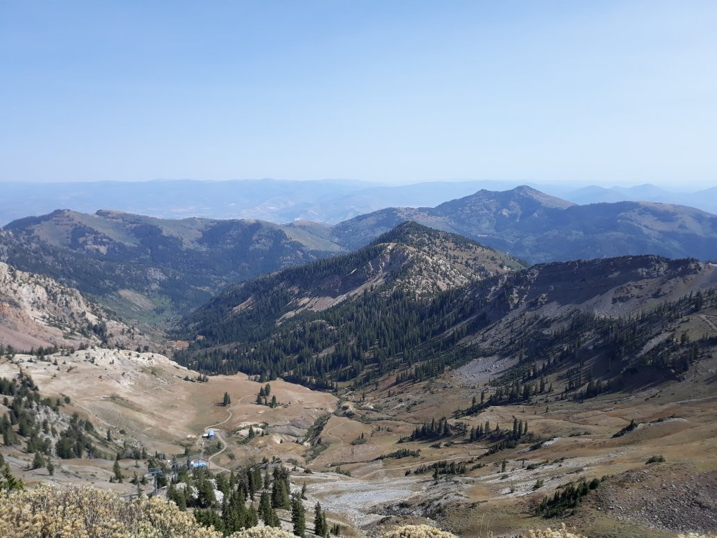 Snowbird-布莱敦必去景点