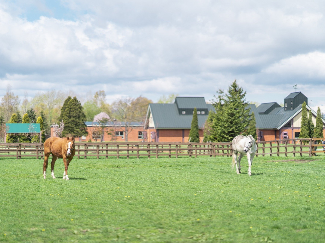 Somes saddle Sunagawa Factory and Showroom-砂川市必去景点
