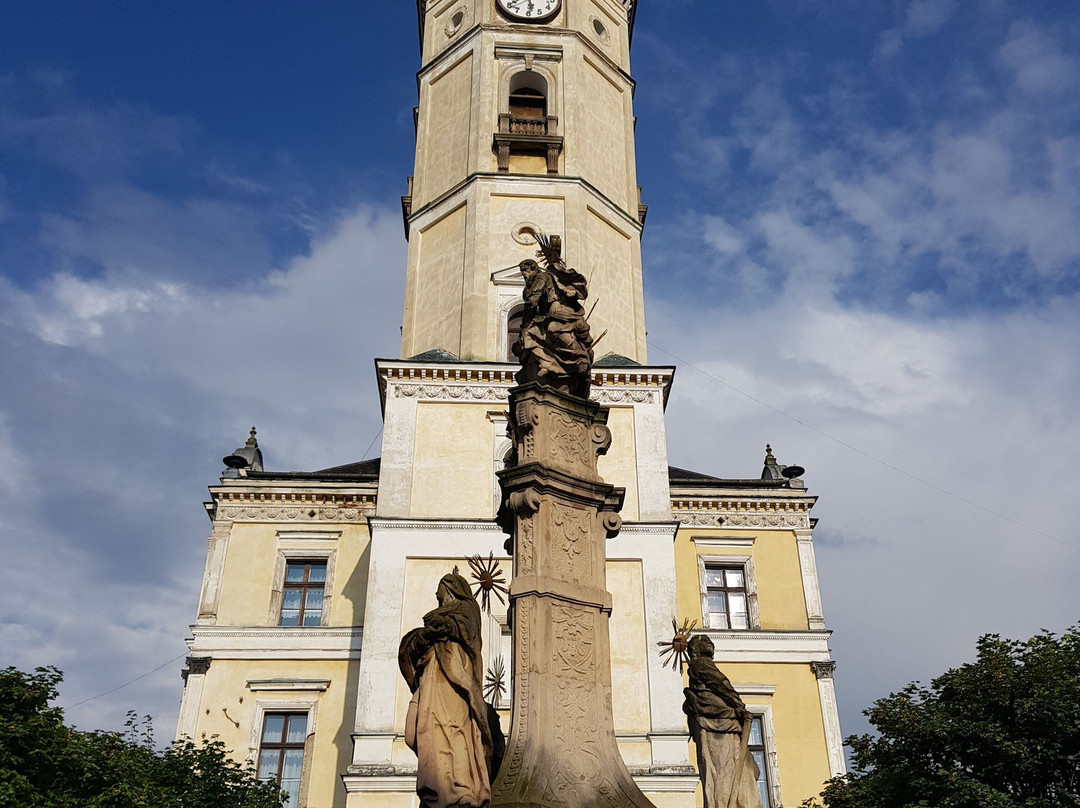 Town Hall Ladek Zdroj景点图片