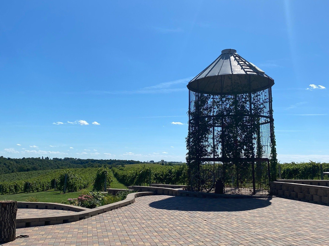 Vernon Vineyards Ltd景点图片
