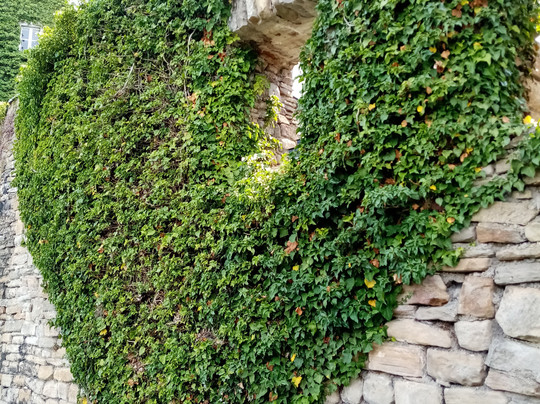 Burg und Freiheit Wetter-Wetter必去景点