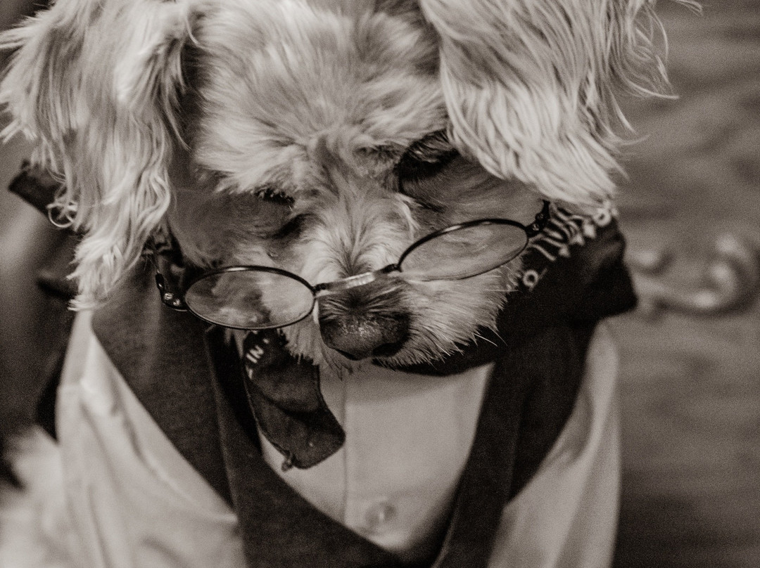 Way Back When Photography-科迪必去景点