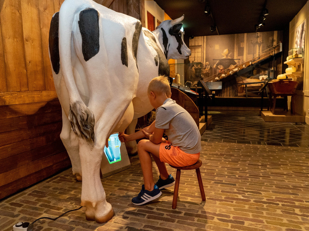 The Story of Edam Cheese by Henri Willig景点图片