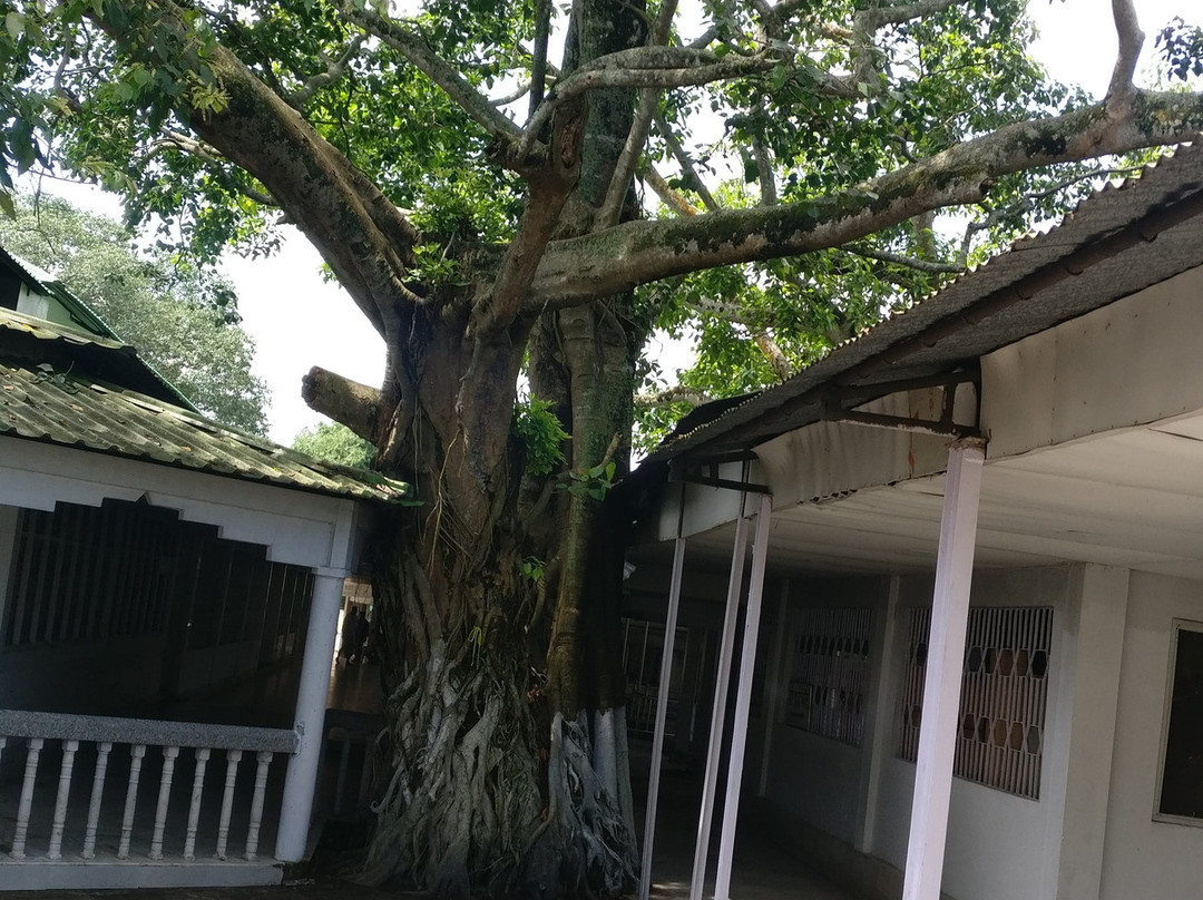 Dhekiakhowa Barnamghar-Jorhat必去景点