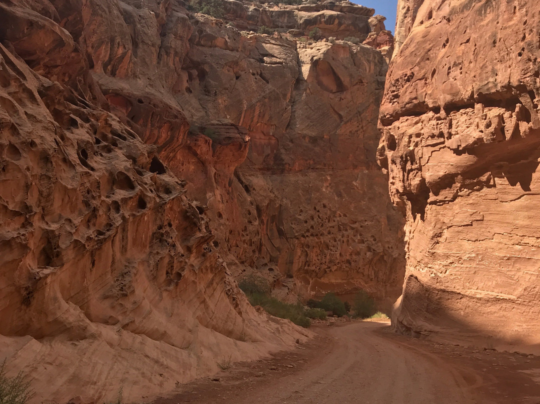 Capitol Gorge Trail景点图片