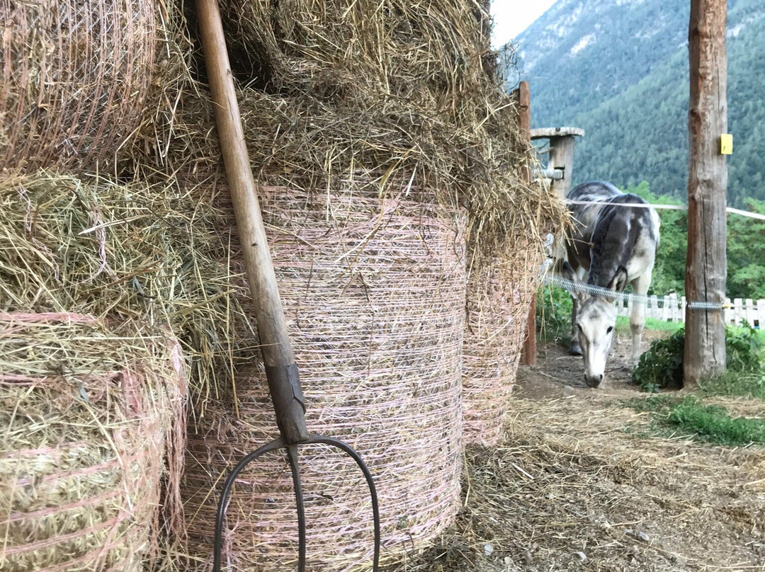 San Giacomo旅游攻略图片