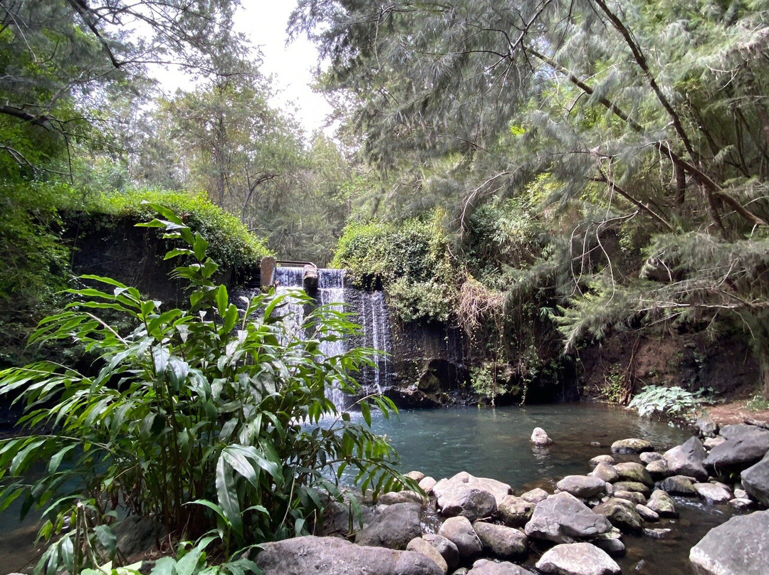 La cascade de Bras Rouge景点图片