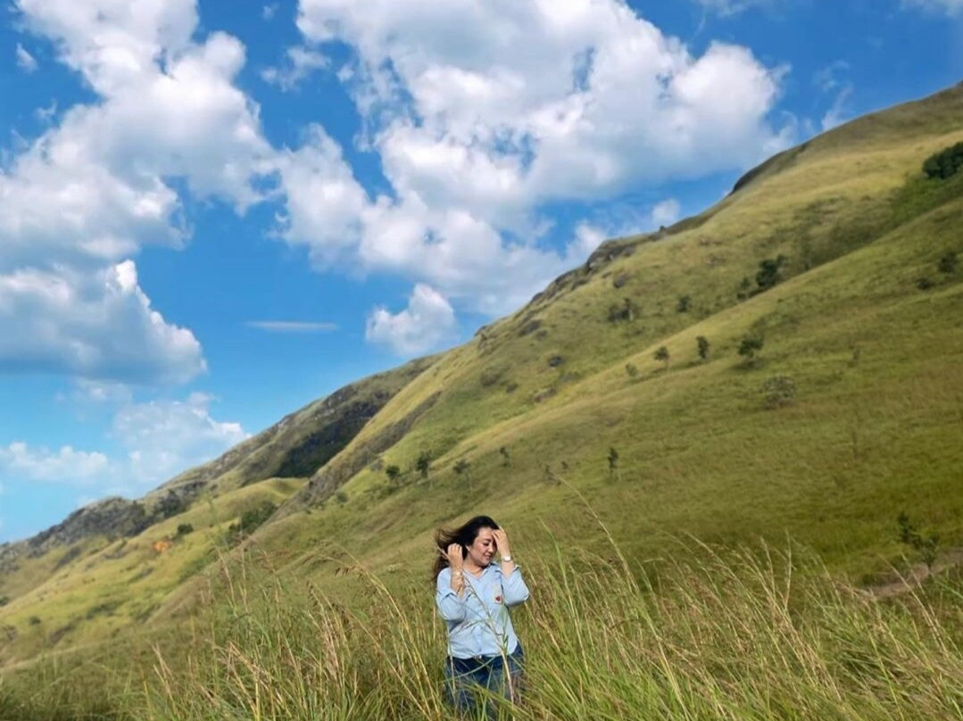 Alahan Panjang Tea Farm-Solok必去景点