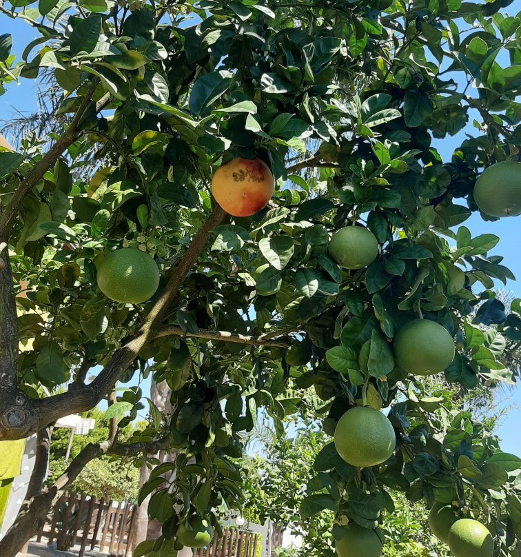 B&B La Corte di Paola主图