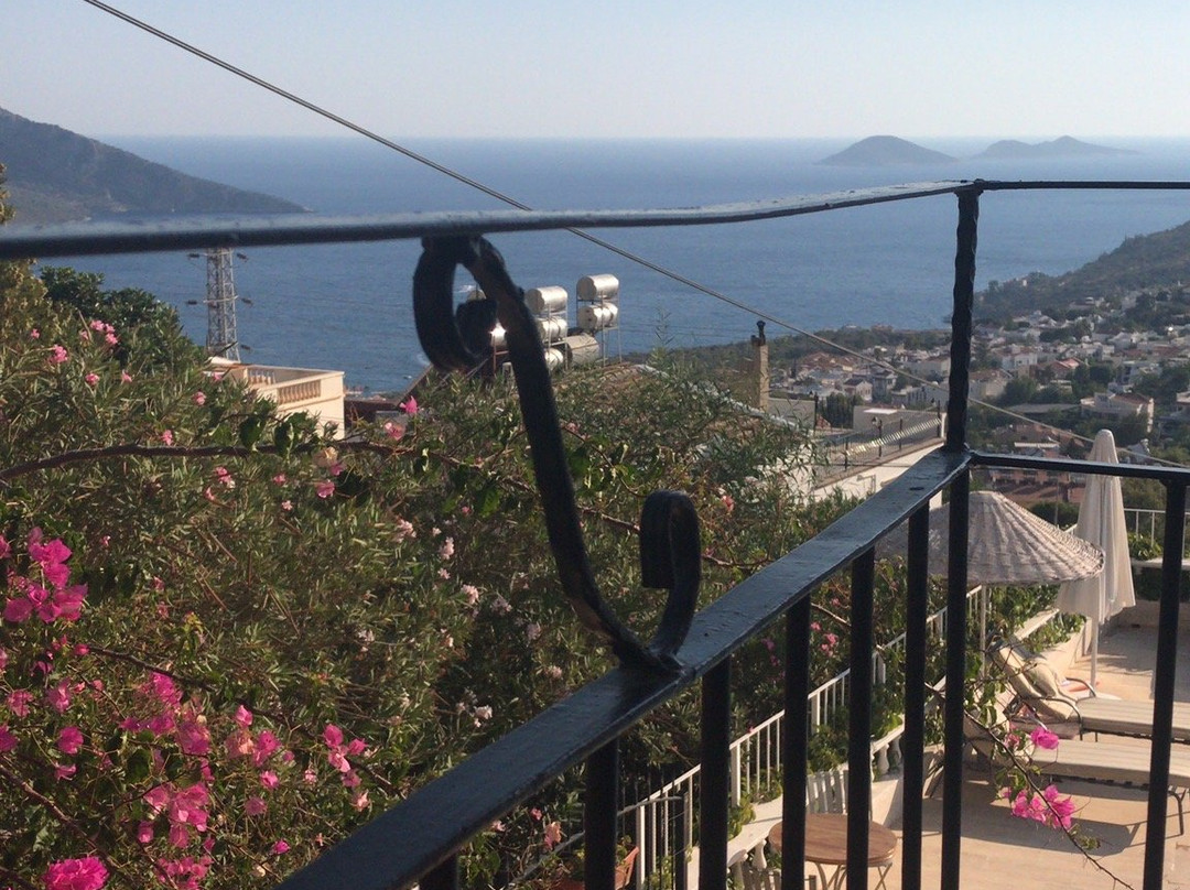 Lavender's Lodge Hotel主图