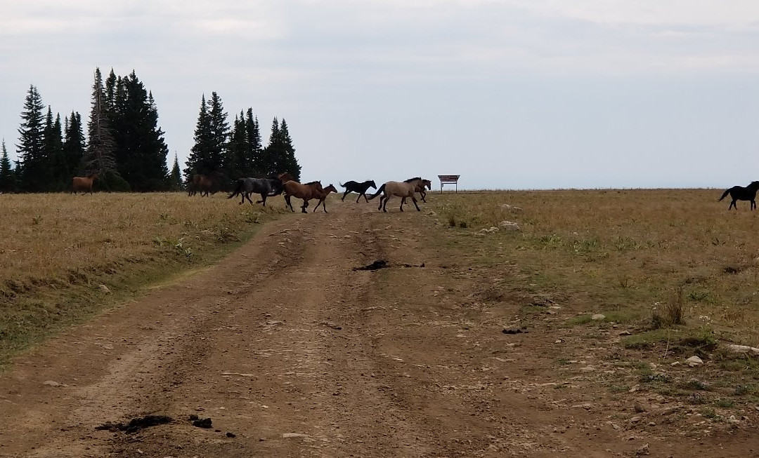 Elk River Outfitters-比灵斯必去景点