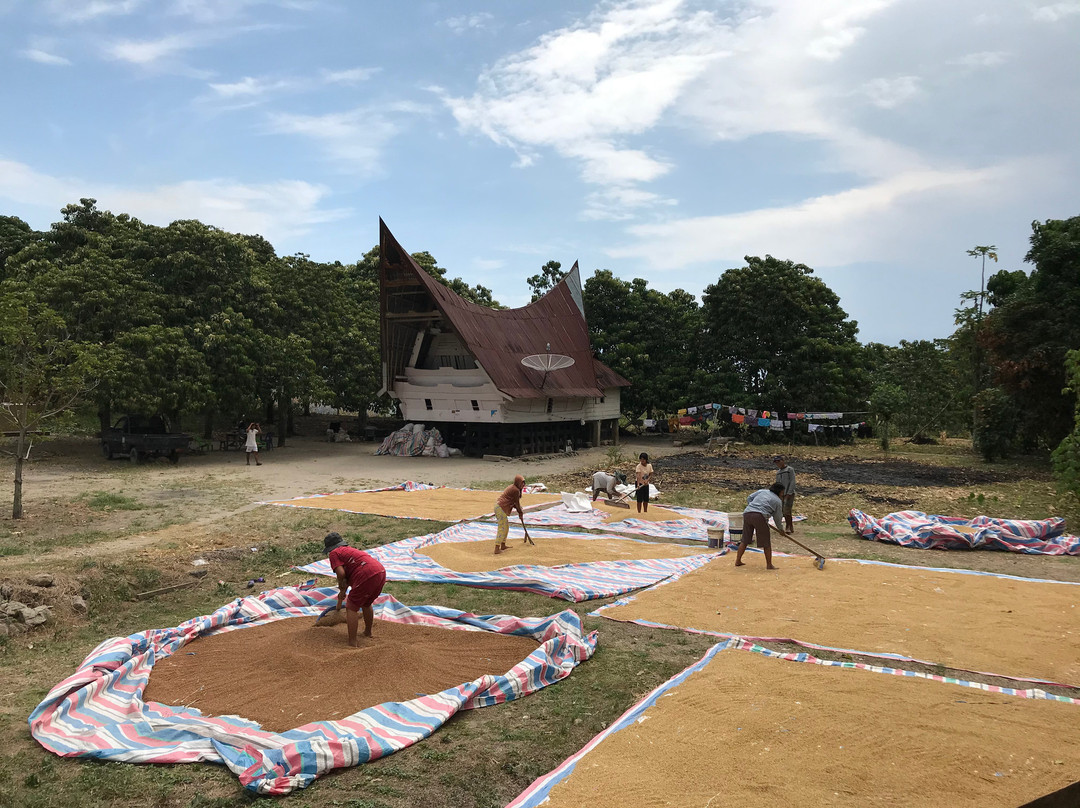 Huta Bolon Simanindo Batak Museum-沙摩西岛必去景点