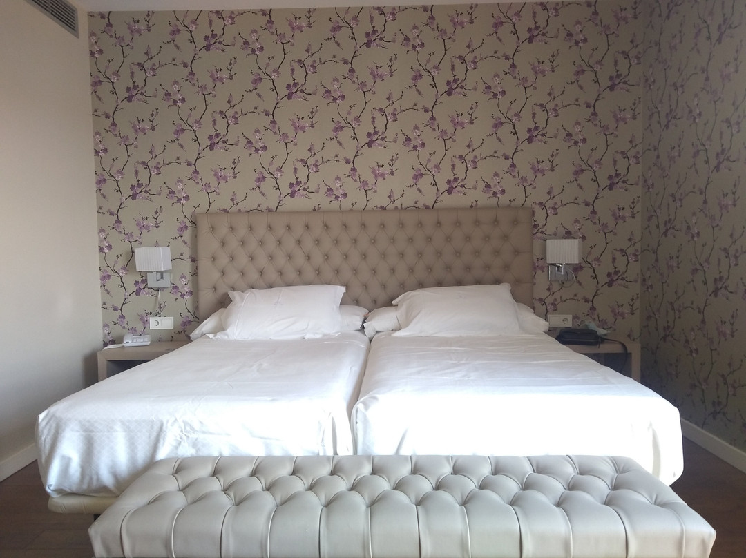 Hotel Spa Ciudad de Astorga By Portblue Boutique主图