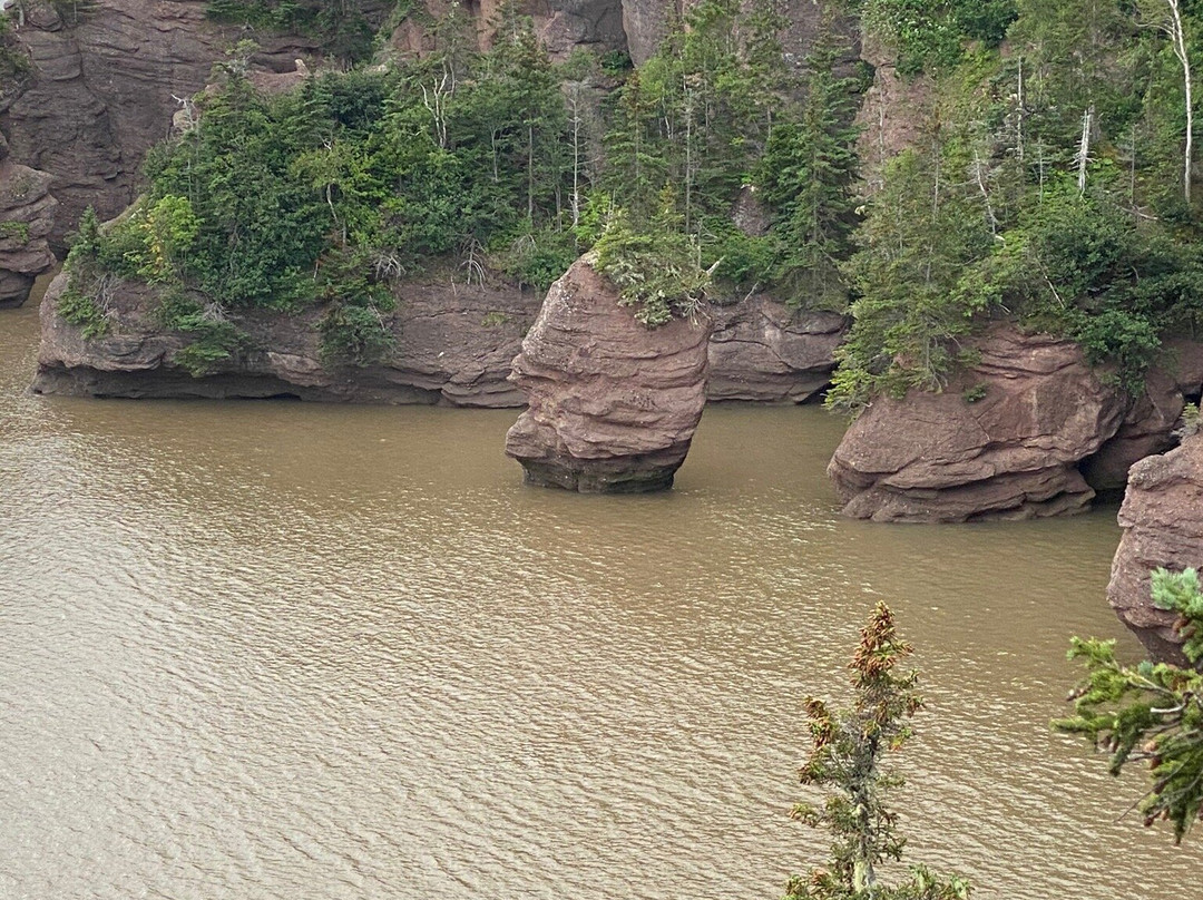 Alpine Motor Inn主图