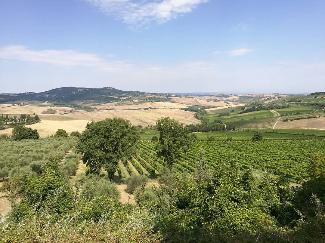 Azienda Agricola Canneto景点图片