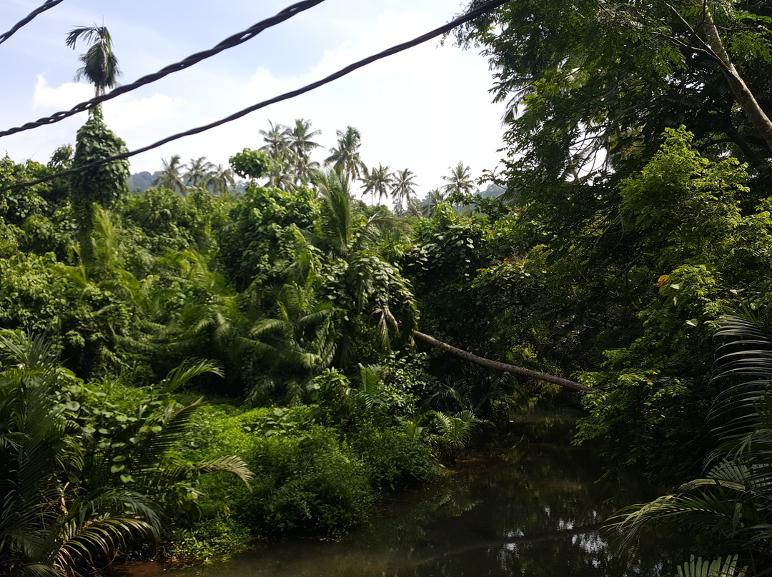 Ali's Waterfall-刁曼岛必去景点