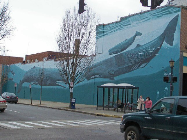 Whaling Wall景点图片