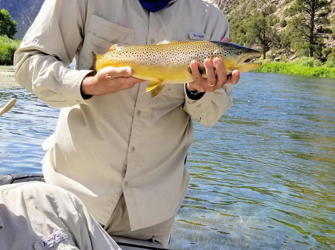 On The Fly Utah-Dutch John必去景点