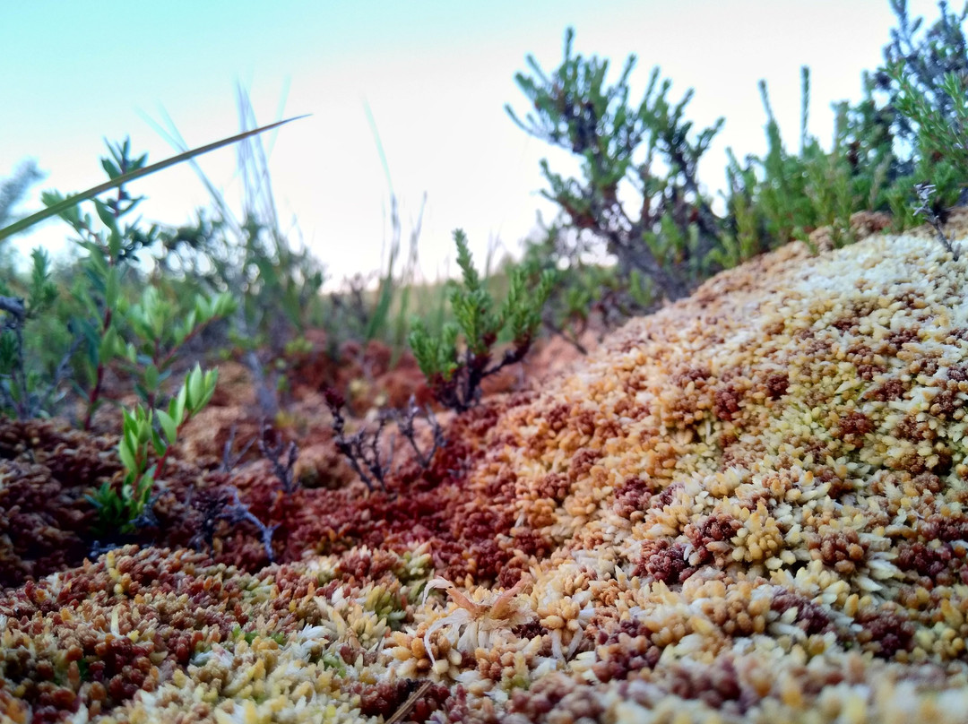 Isla de Quinchao-奇洛埃岛必去景点