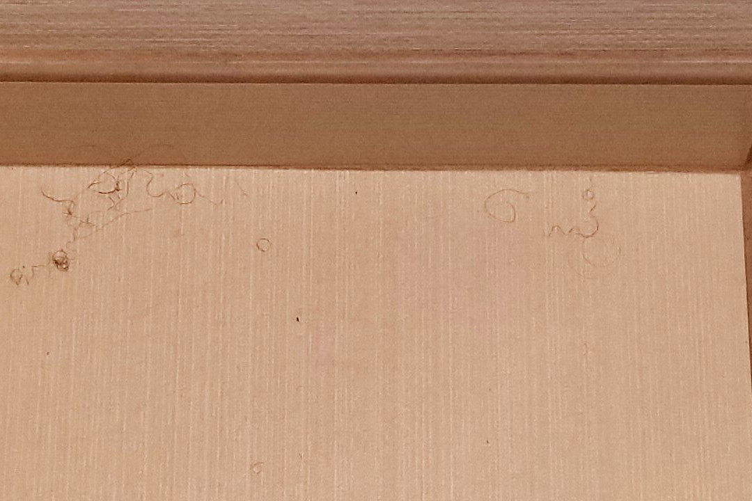 Homewood Suites by Hilton Toledo-Maumee主图