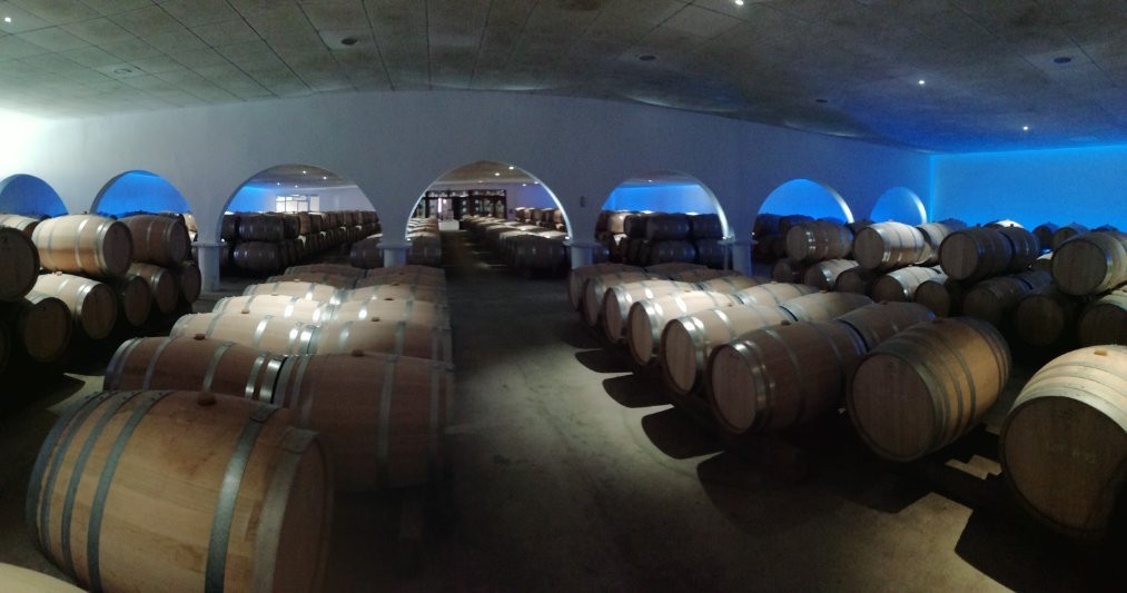Chateau Maucaillou景点图片