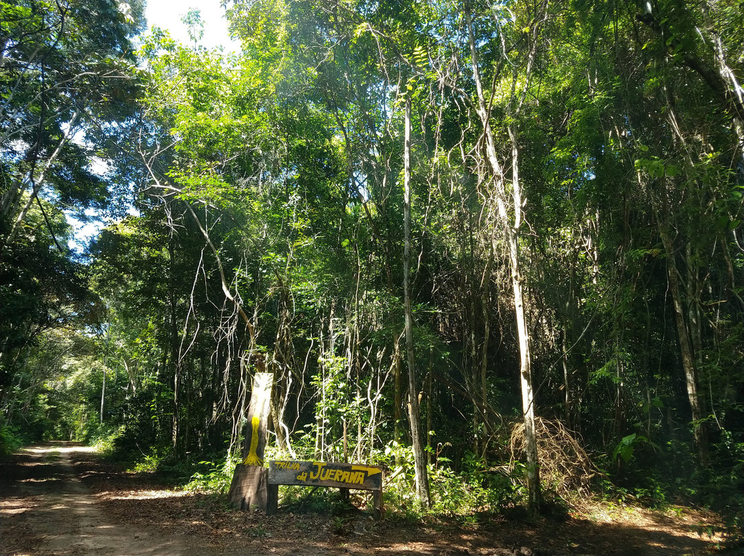 Parque Nacional do Descobrimento-Prado必去景点