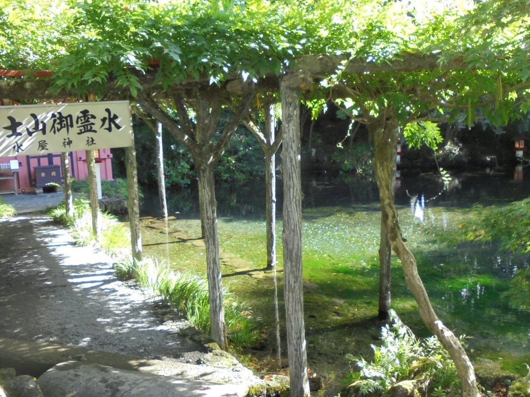 Waketamaike Spring景点图片