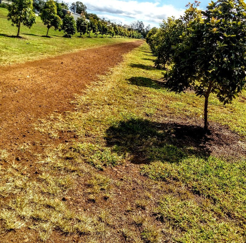 CWA Park-Tolga必去景点