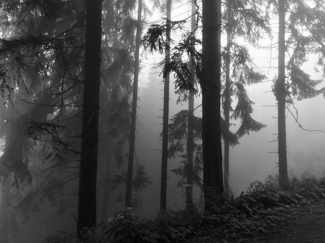 Romantischer Bründlweg-Turnau必去景点