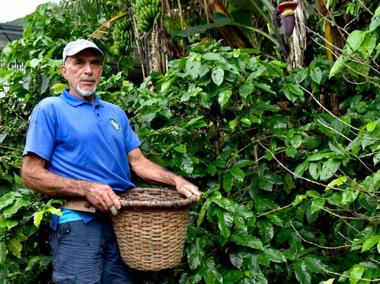 Café San Luis-蒙特沃德必去景点