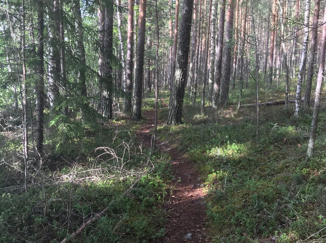 Pulkkilanharju Nature Trail-Asikkala必去景点