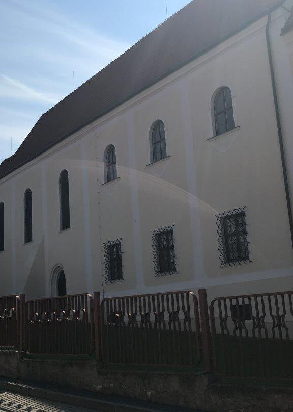 Zapadoslovenske muzeum-Trnava必去景点